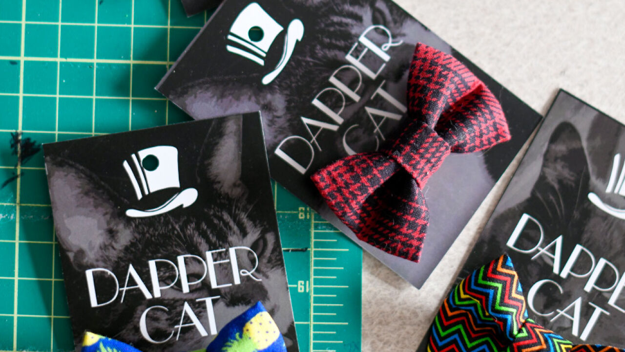 TacoCat4